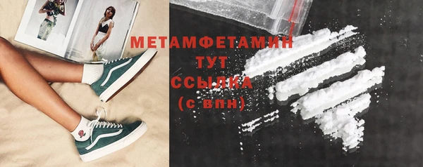 ГАЛЛЮЦИНОГЕННЫЕ ГРИБЫ Ельня