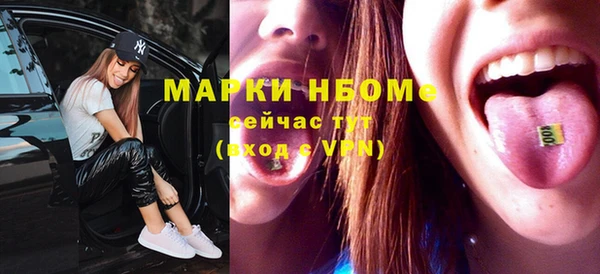ГАЛЛЮЦИНОГЕННЫЕ ГРИБЫ Ельня