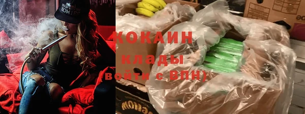 ГАЛЛЮЦИНОГЕННЫЕ ГРИБЫ Ельня