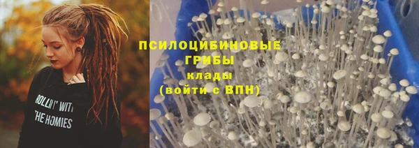 ГАЛЛЮЦИНОГЕННЫЕ ГРИБЫ Ельня